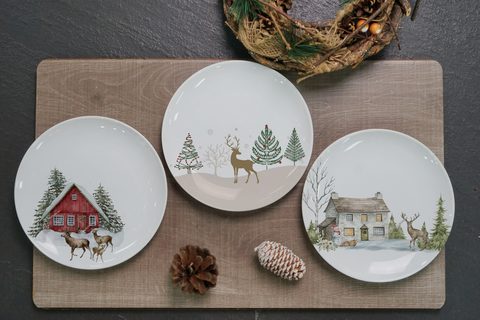 New Bone China Dinnerware Set with Christmas Design