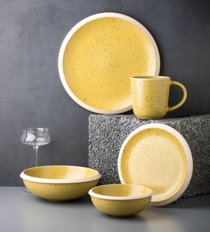Stoneware Dinnerware Set QX